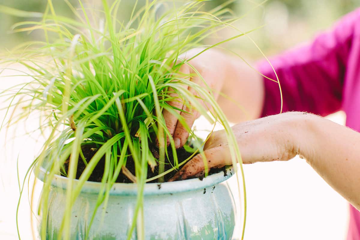 Stack It Up How to Create Easy Vertical Container Garden 1200x8005
