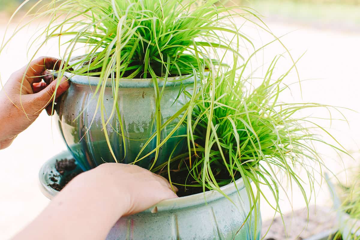 Stack It Up How to Create Easy Vertical Container Garden 1200x8006