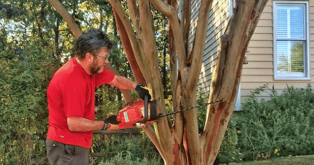 How To Fix Crape Murder