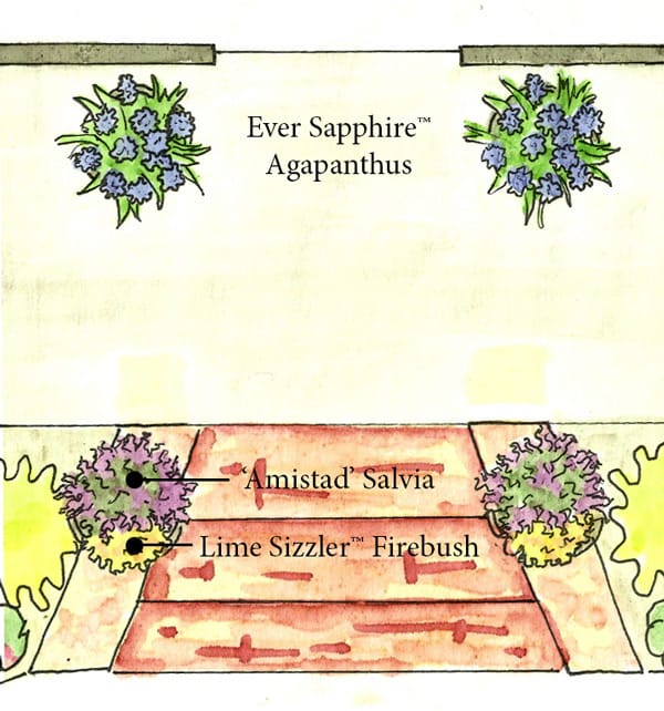 Sunshine Containers Main Entry