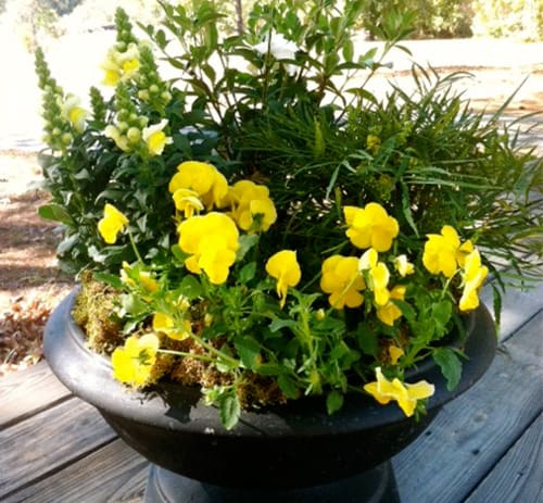 Tailgate Containers 3