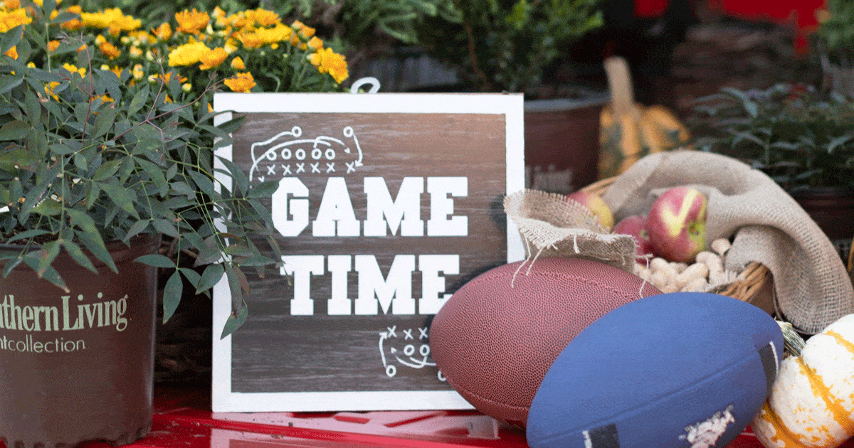 Centerpiece for a football party with chalkboard sign and Southern Living plants
