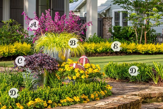 Tailgating Containers