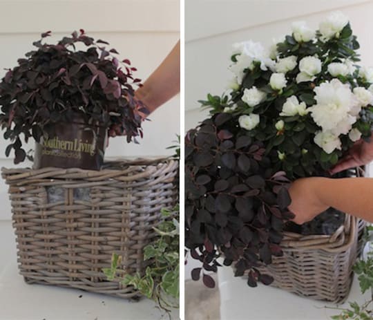 Tailgating in Style 3