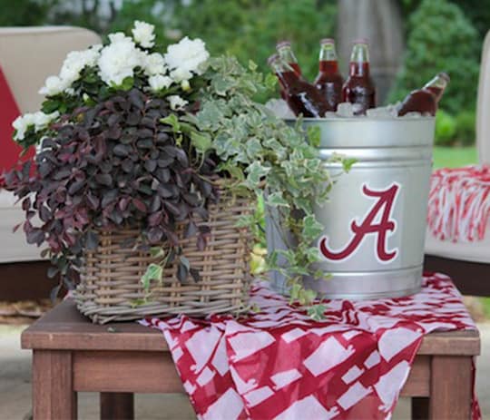 Tailgating in Style 5