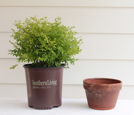 Tailgating in Style 6