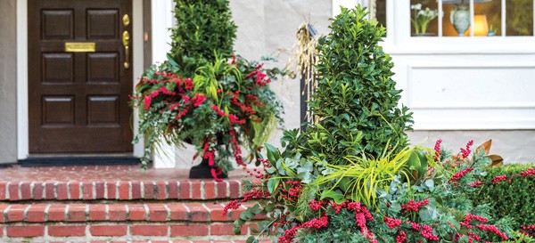 The Porch and the Patio Article Image 3