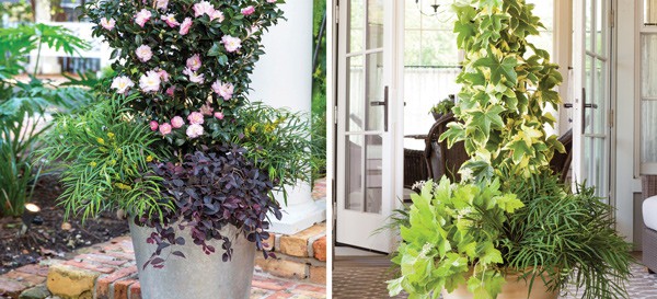 The Porch and the Patio Article Image 6