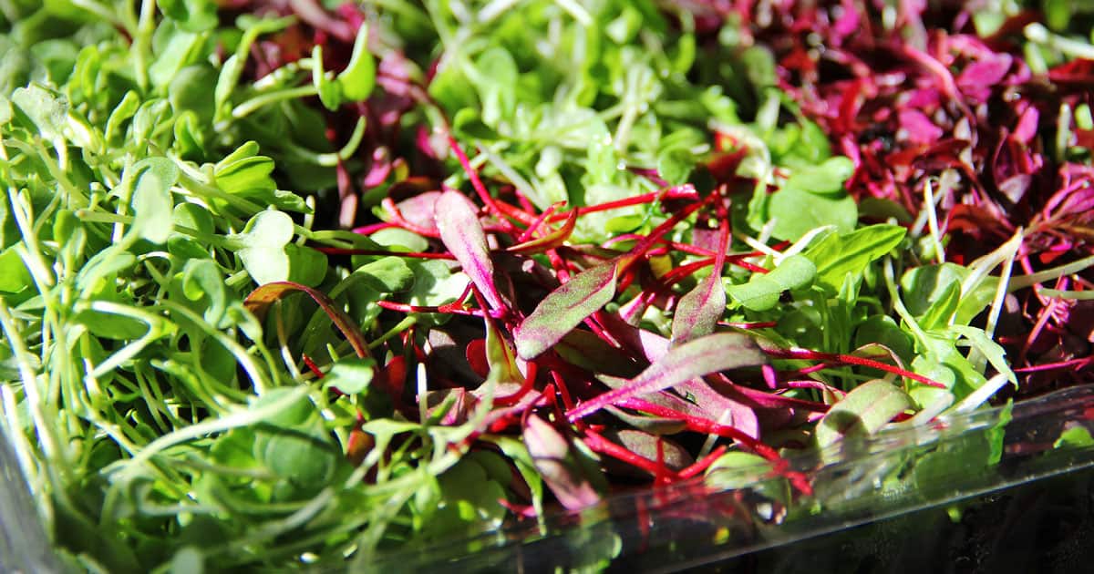 Top 5 Cures For Winter Blahs 1200x630