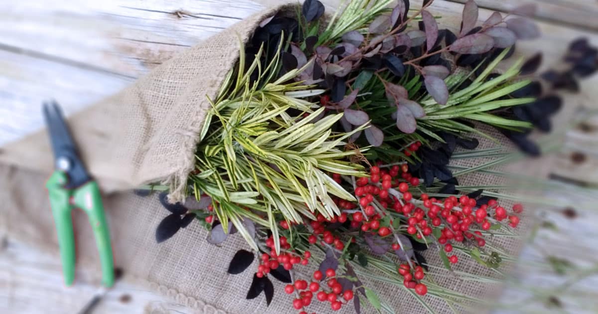 Top 5 Cures For Winter Blahs 1200x6302