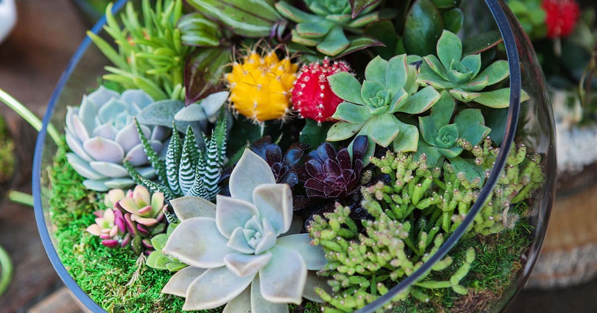 Top 5 Cures For Winter Blahs 1200x6304