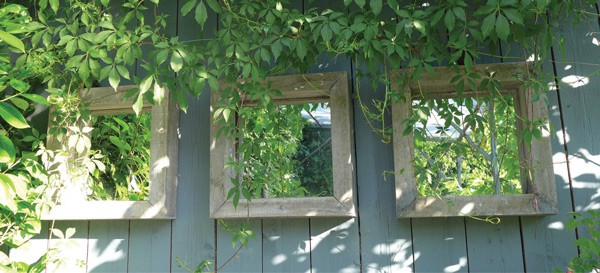 Top 5 Gardening Hacks 600x273px Mirrors