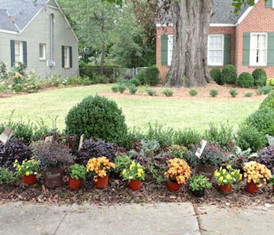Trick or Treat Sidewalk Style 2