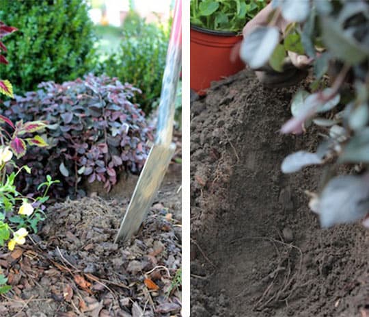 Trick or Treat Sidewalk Style 3