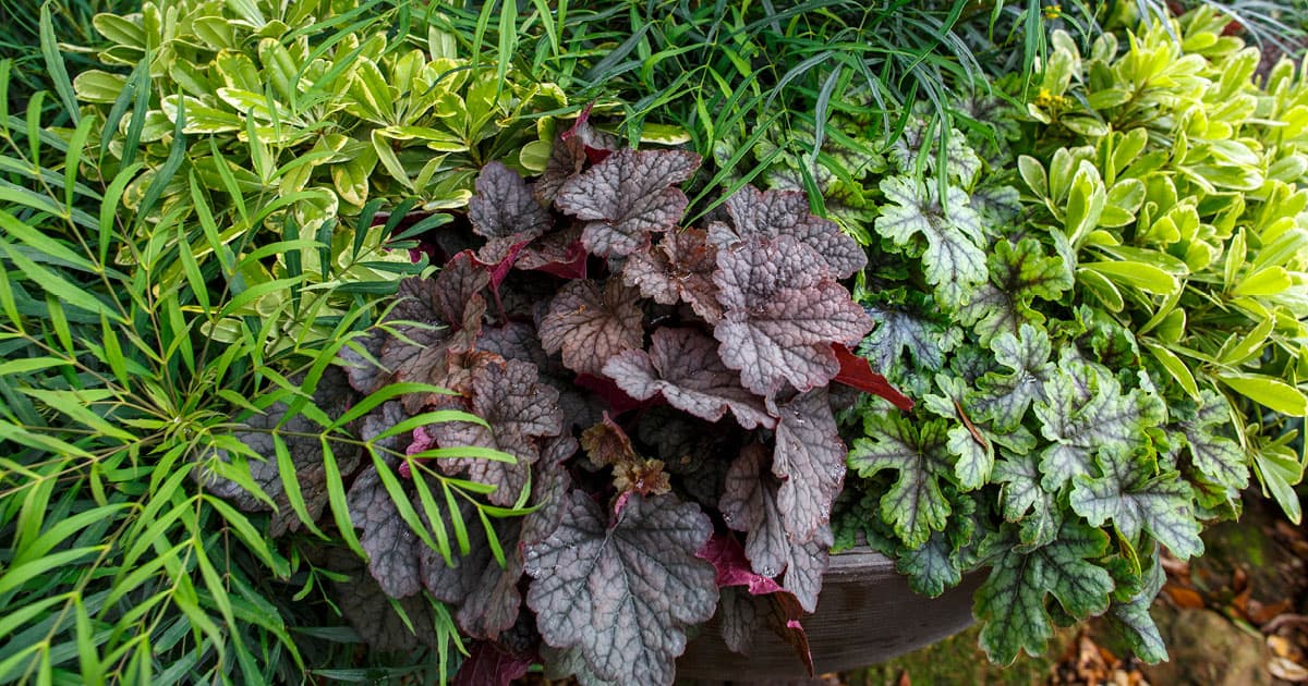 Your Secret Garden Awaits 1200x6302