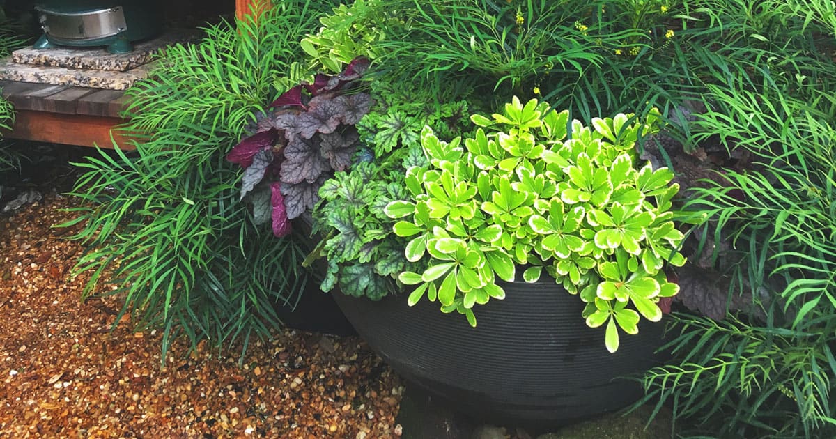 Your Secret Garden Awaits 1200x6303