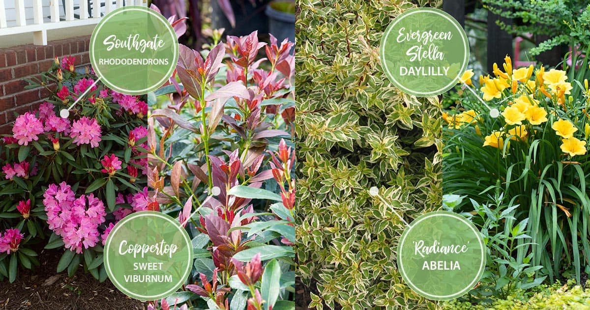 april twelve months of color