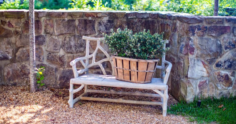 A basket of Bambina dwarf Pineapple Guava set on metal bench on a stone corner garden wall