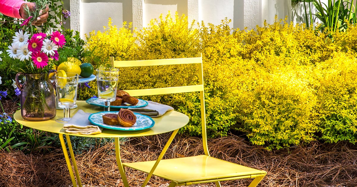 create a colorful seating area wide zoom 1200x630