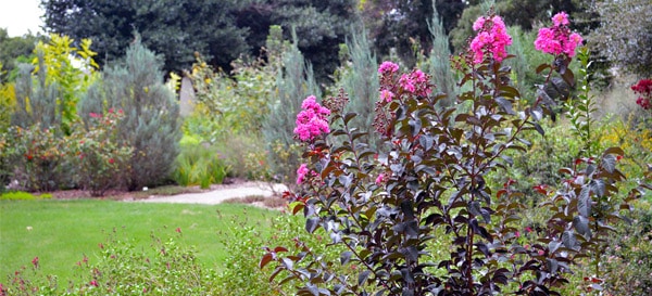 delta accent 600x273px