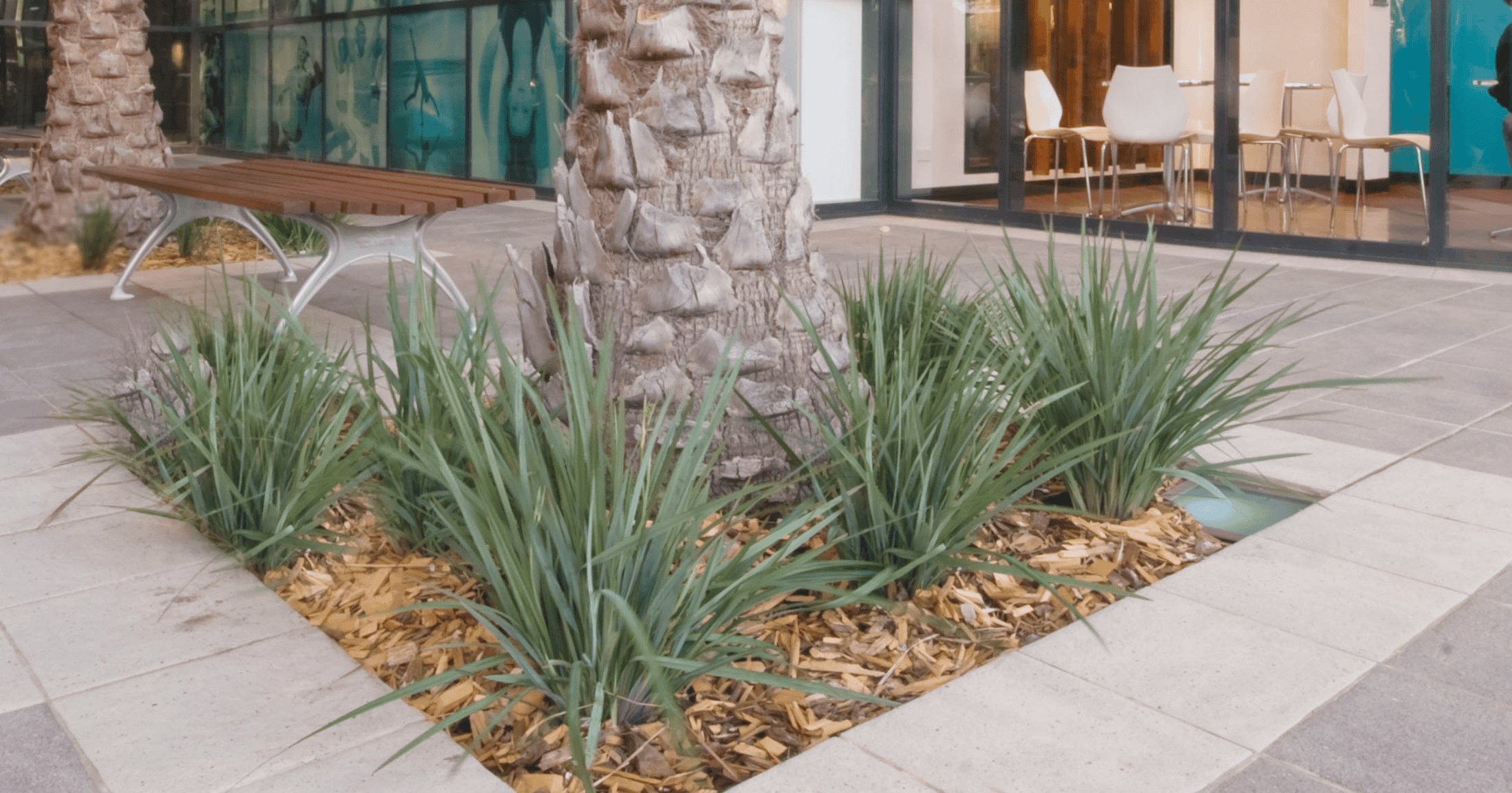 Coolvista Dianella in a coastal business setting