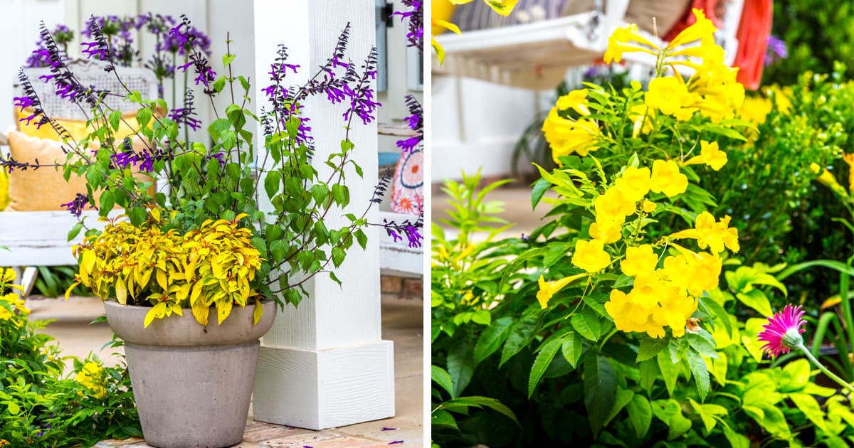 emphasize the entryway color combo 1200x630