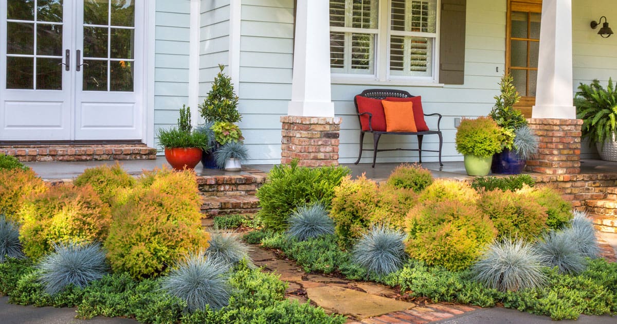Beautifully landscaped entry drive and sidewalk lined with Fire Chief Arborvitae, Beyond Blue Festuca and Dragon Prince Cryptomeria