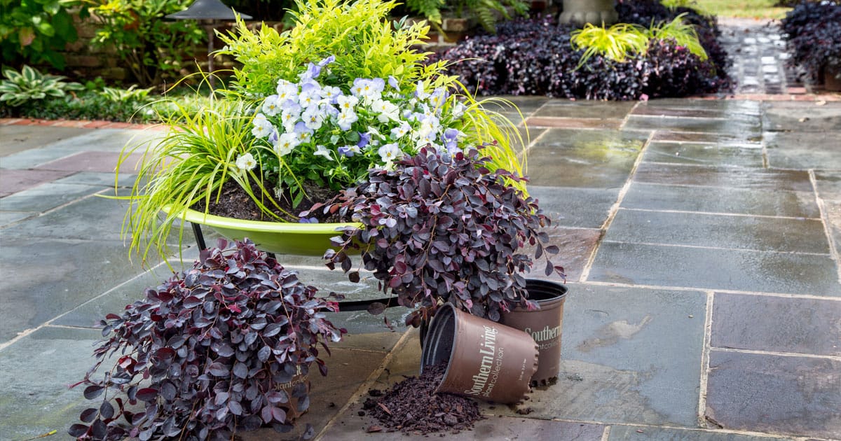 Ignite the Fire(pit)!