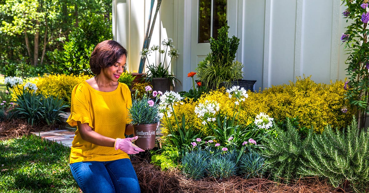 ligustrum and agapanthus with model 1200x630