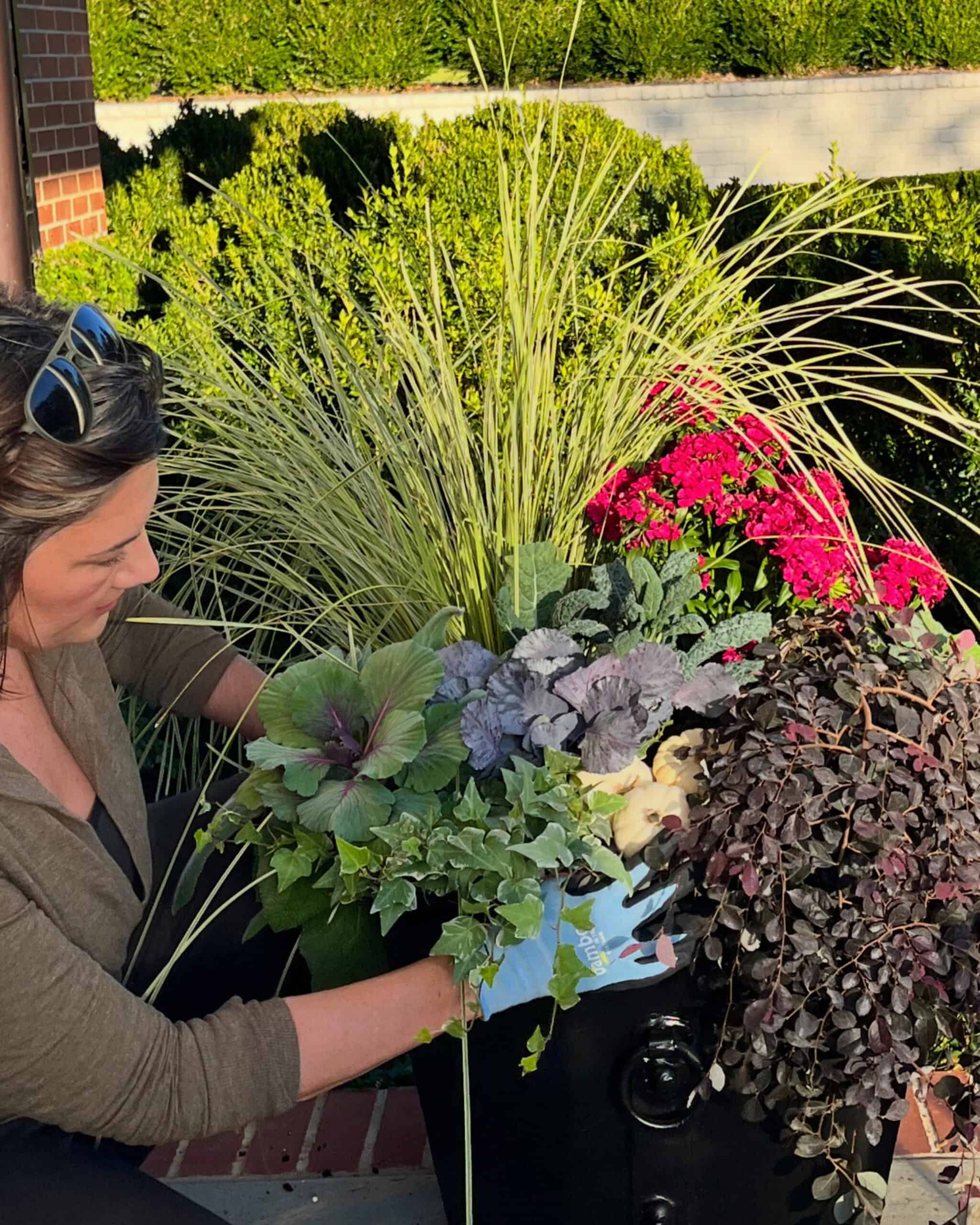 Woman planting a vibrant fall container garden on a porch, featuring ornamental grass, hot pink mums, kale, cabbage, ivy, and cascading purple loropetalum in a tall black planter.