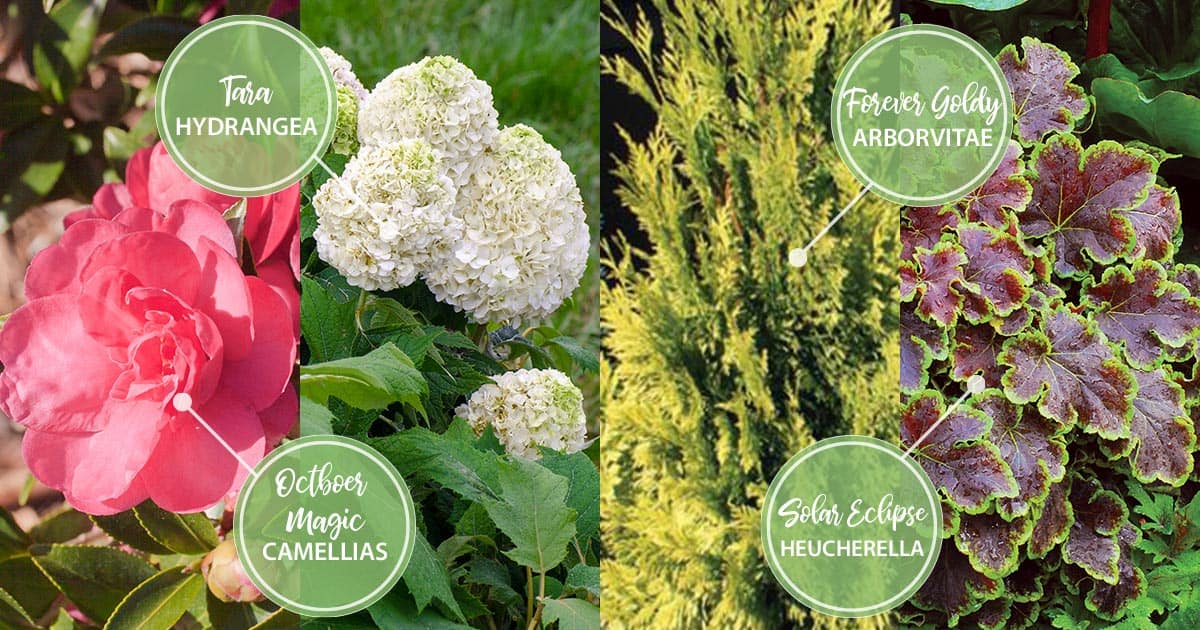 october twelve months of color