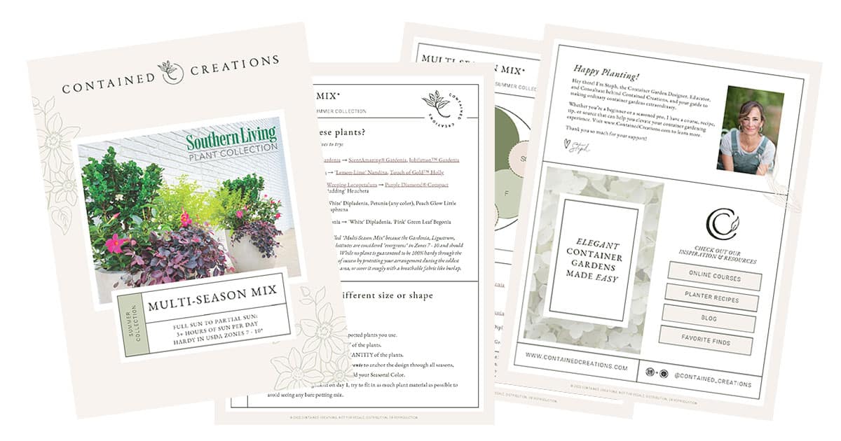 Container garden plans