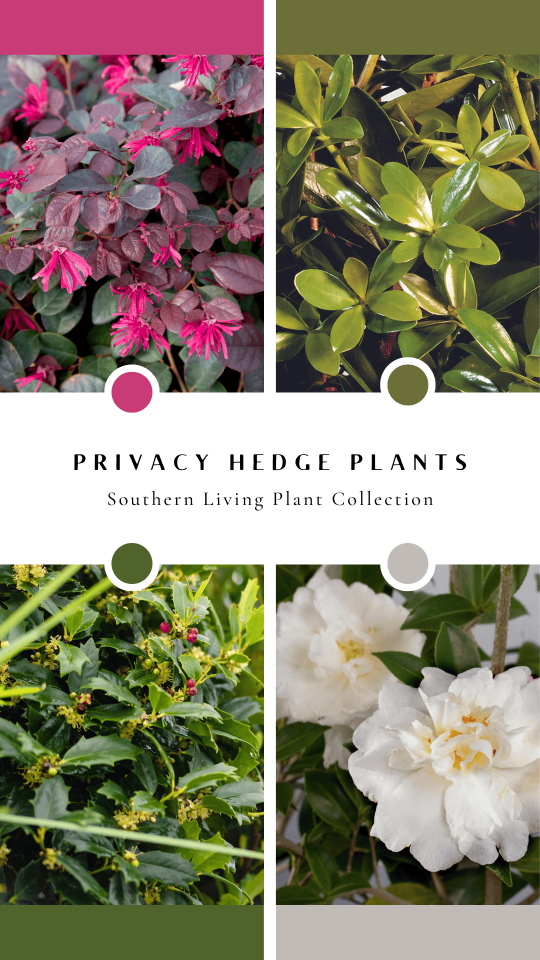 Pinterest Hidden Image