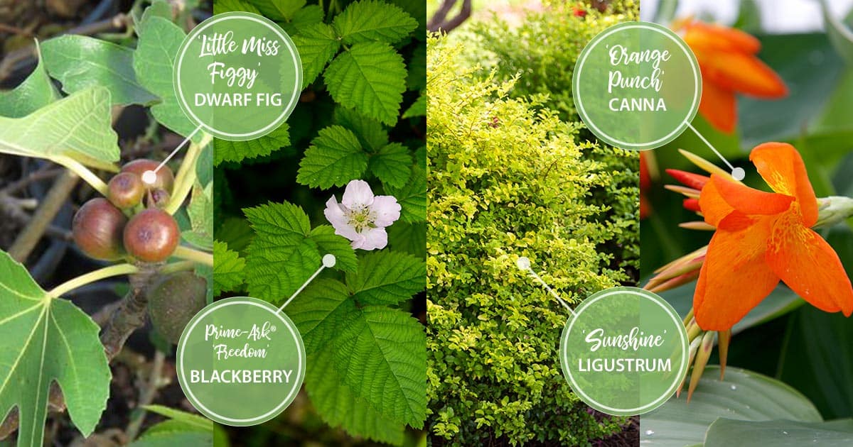 september twelve months of color