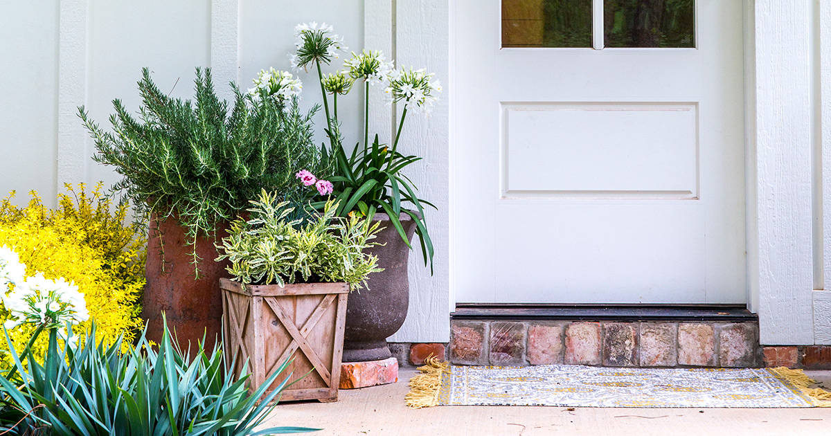 White house and back door set with a trio of wooden and urn containers full of Southern Living plants