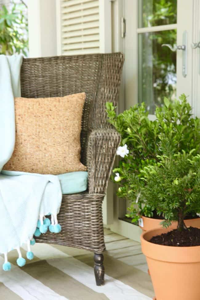 Frost proof gardenia in container on front porch with a wicker chair close up