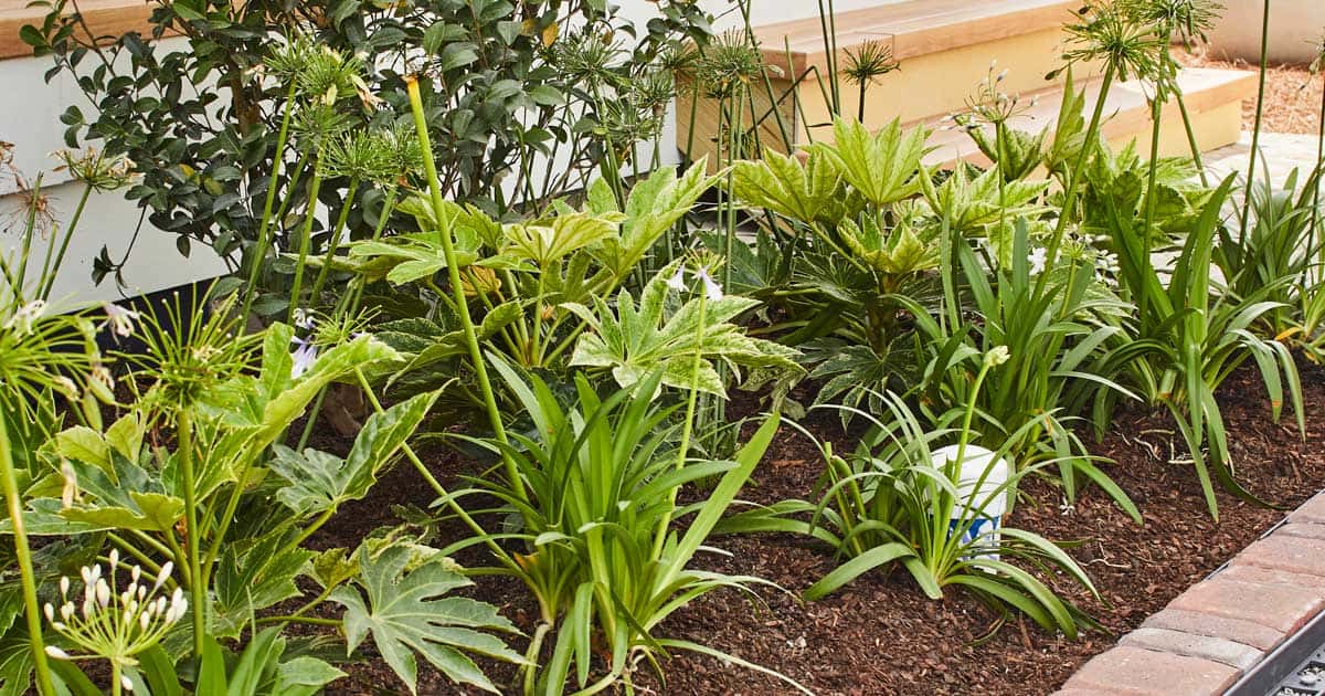 Southern Living idea house 2022