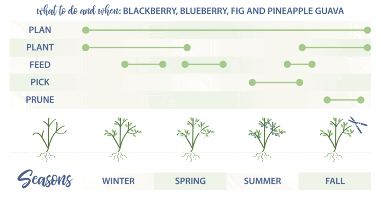 Southern Living Plant Collection edibles what when plan slide
