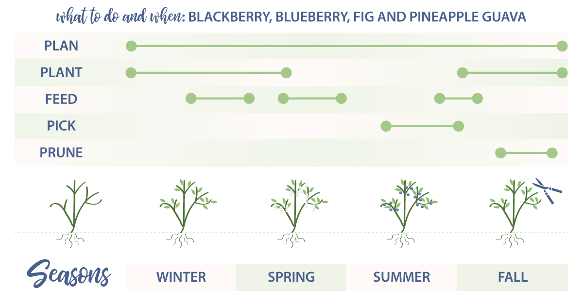 Southern Living Plant Collection edibles what when plan slide