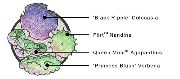 summer container 600x237