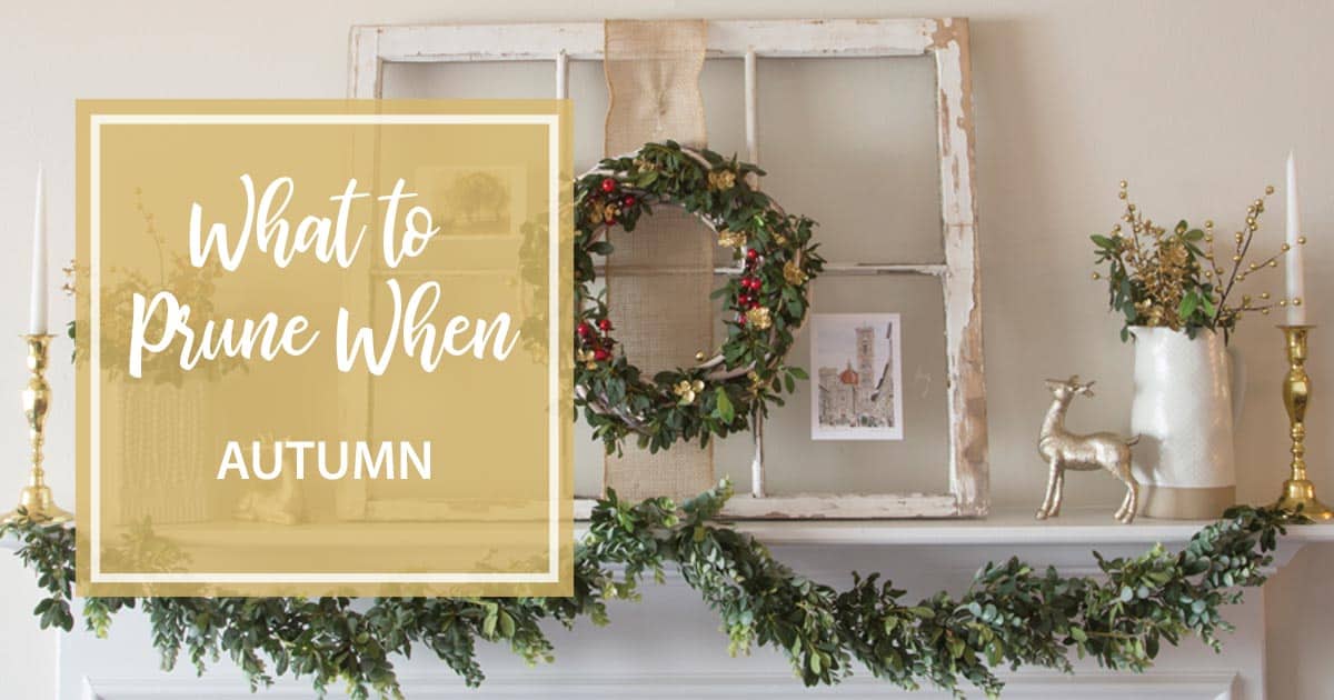 Christmas swag of Southern Living greenery on simple white mantle with glass framed windows and a wreath